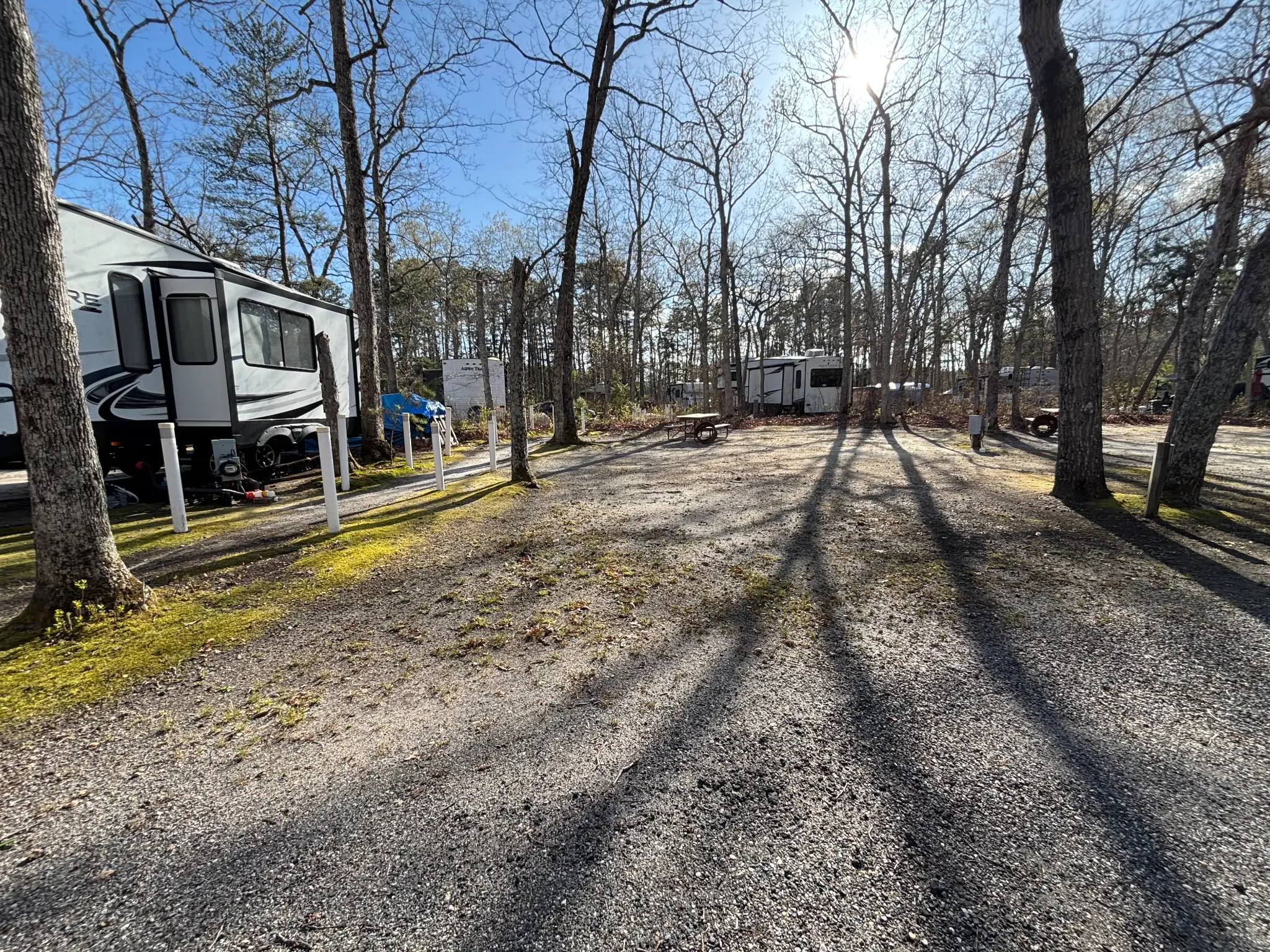 Site 41