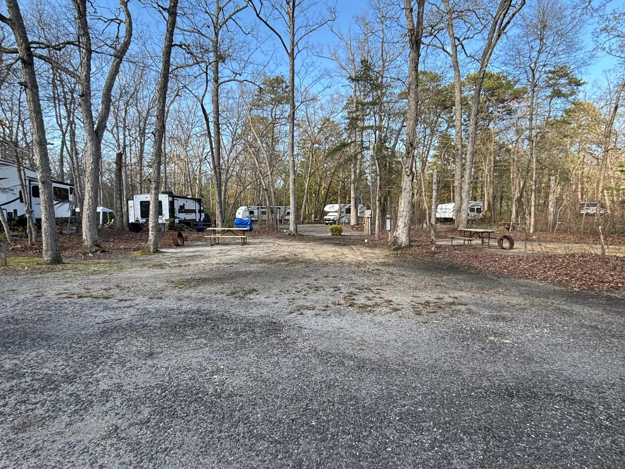 Site 49